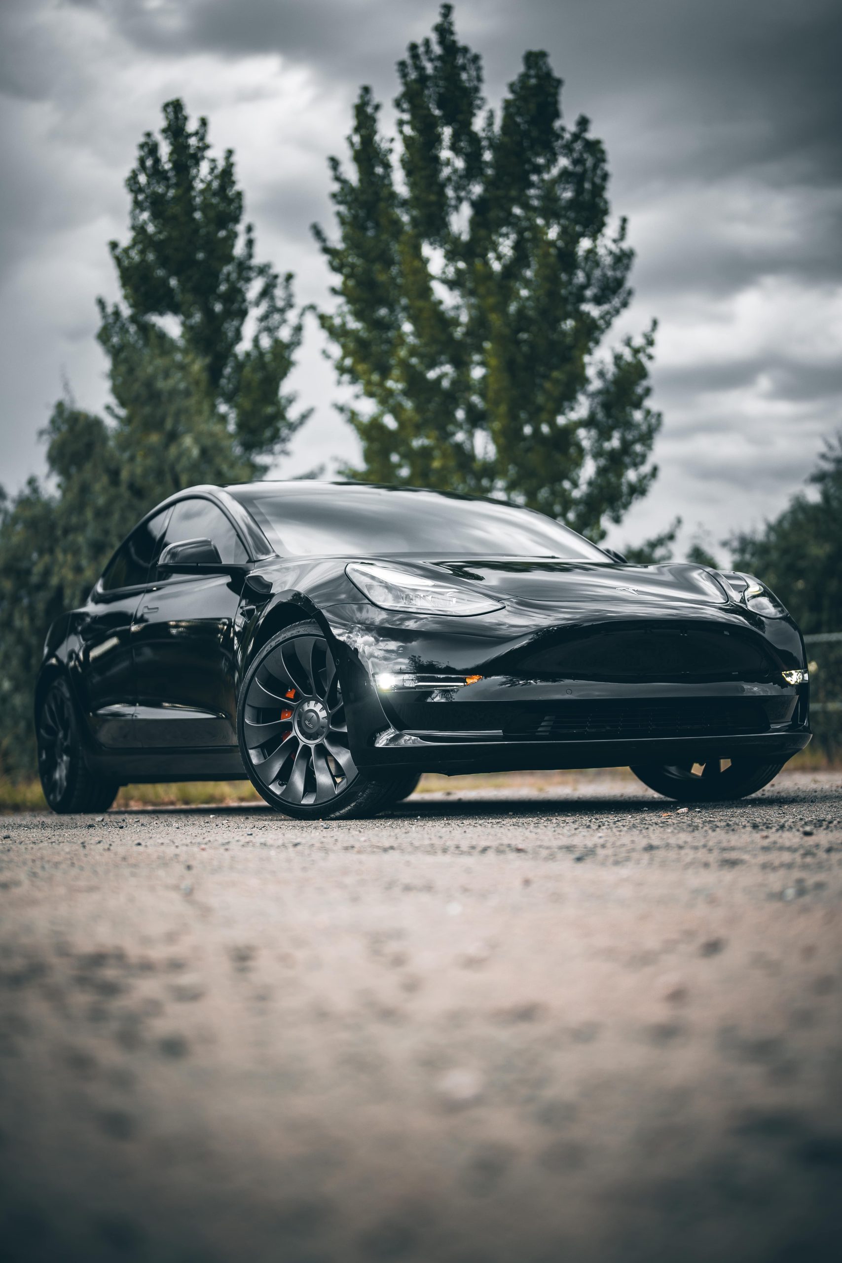 Tesla paint protection film installation