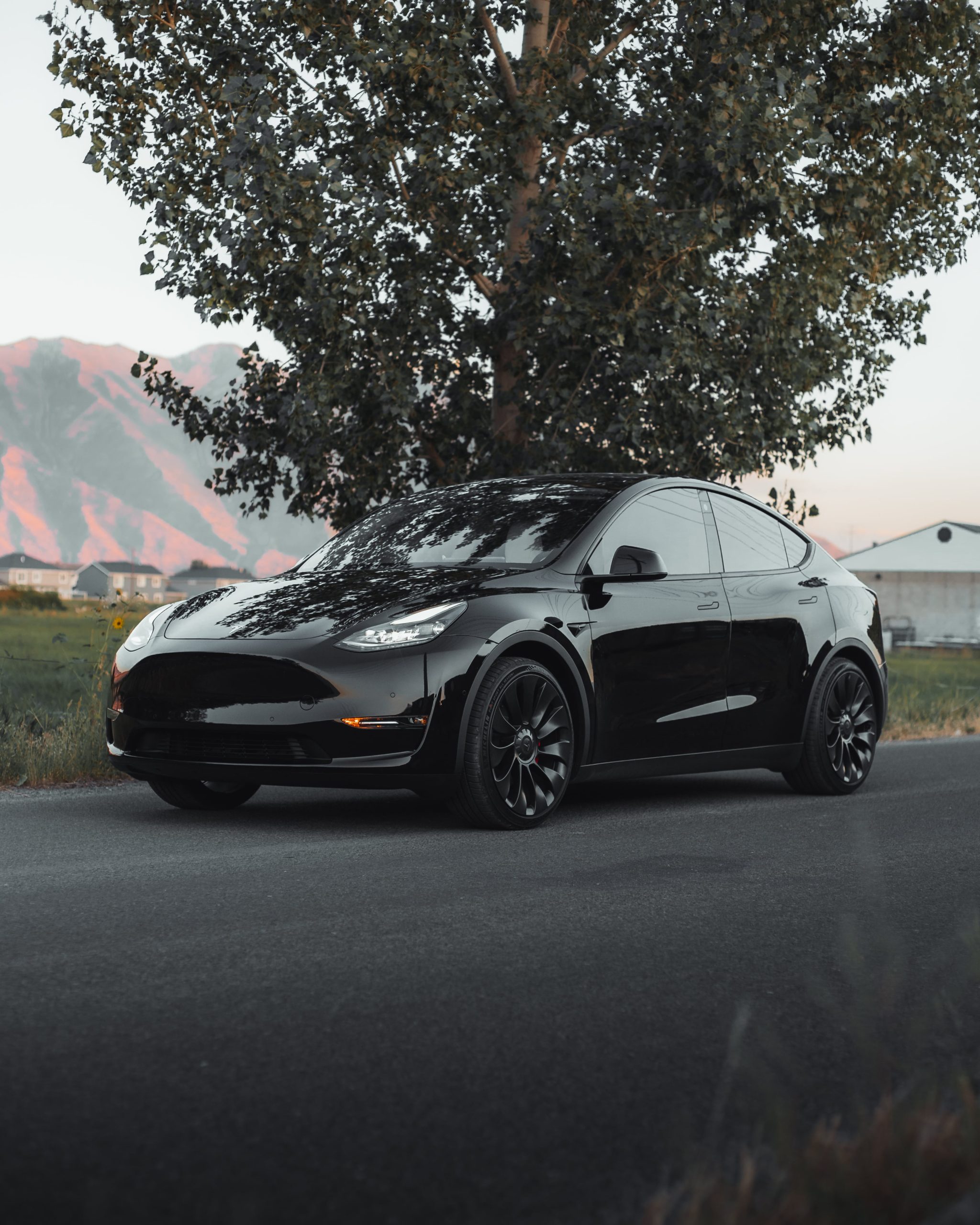 Tesla Model Y protection install
