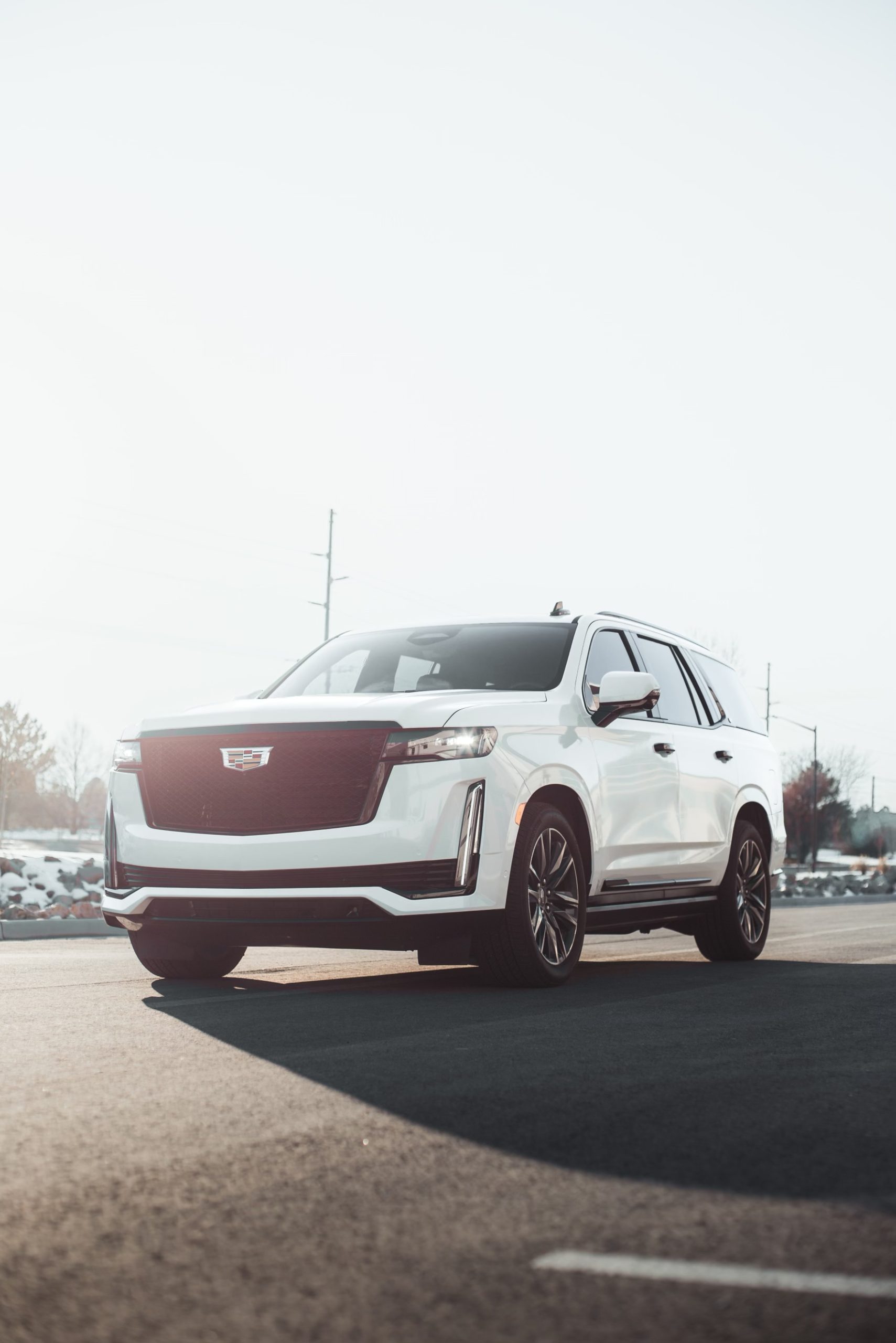 Cadillac Escalade window tint