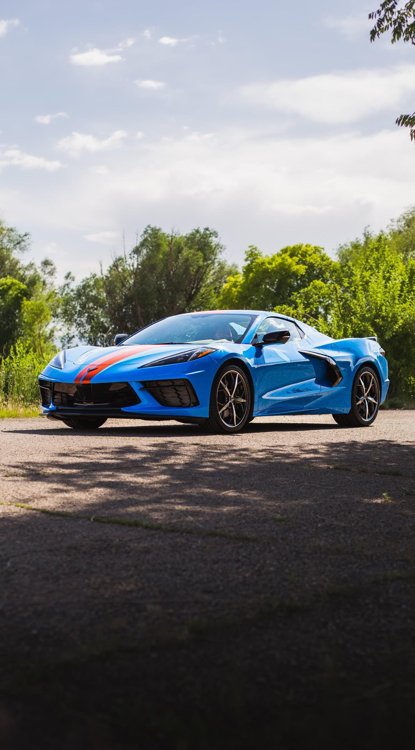 Corvette C8 vinyl wrap