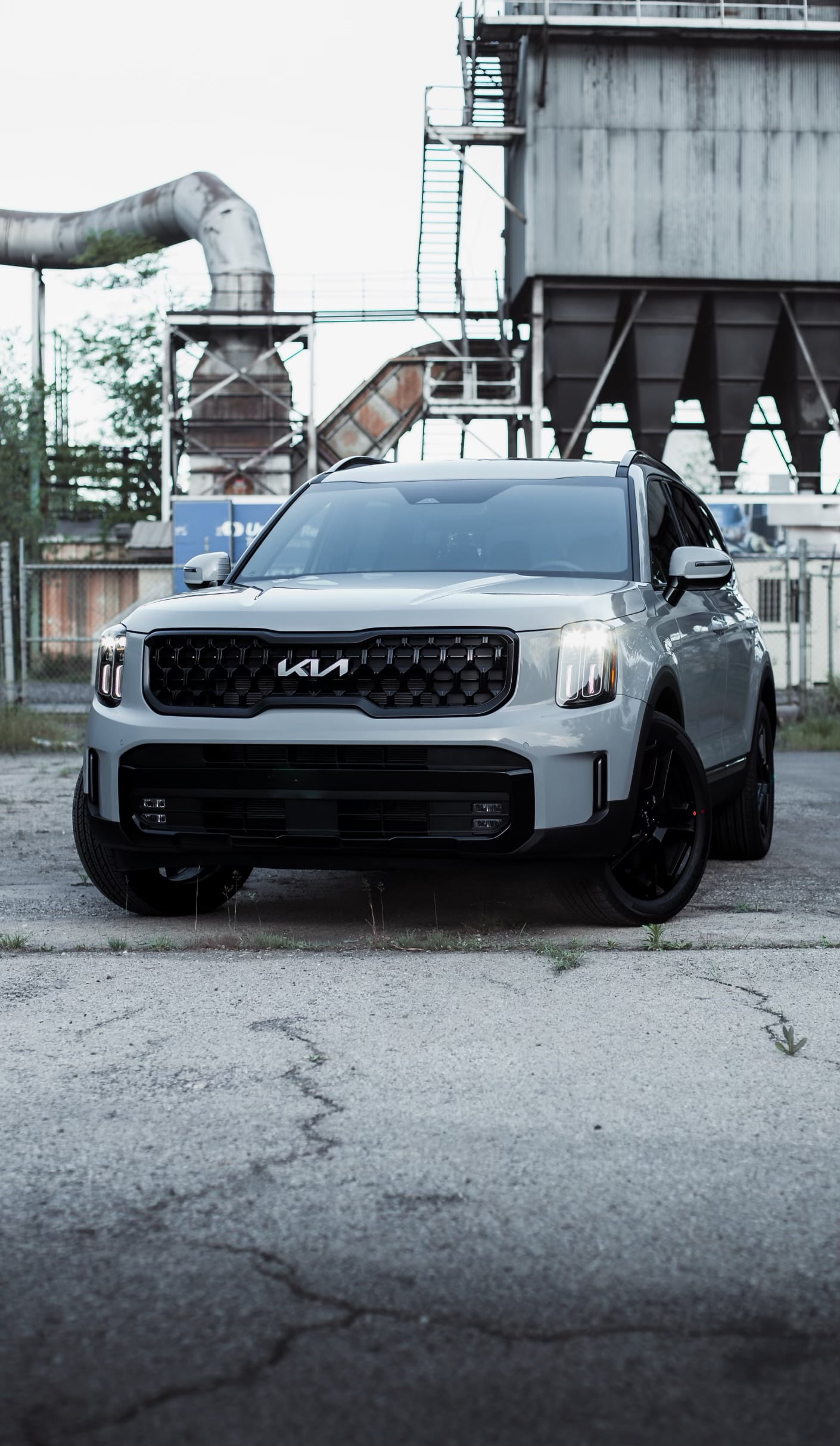 Kia Telluride window tint