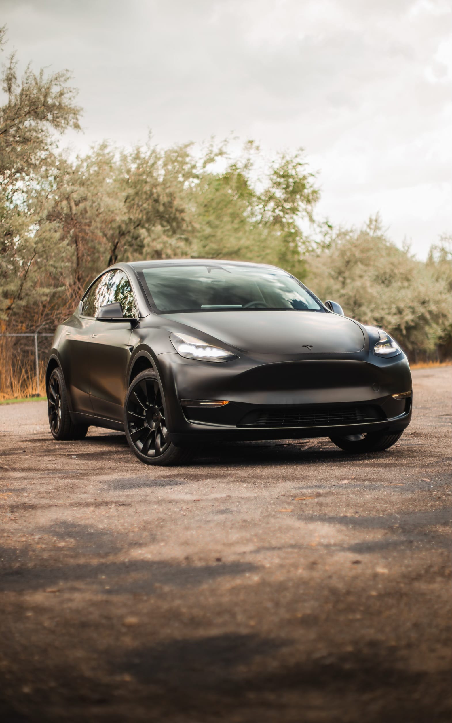 Tesla Model Y matte wrap and finish